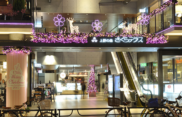 UENONOMORI SAKURA TERRACE