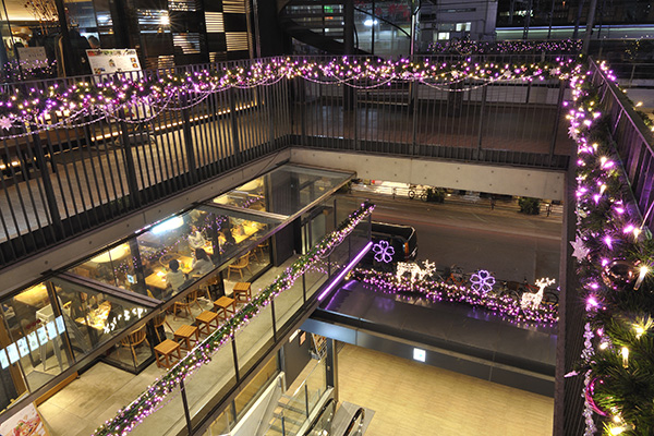 UENONOMORI SAKURA TERRACE