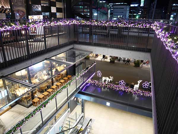 UENONOMORI SAKURA TERRACE