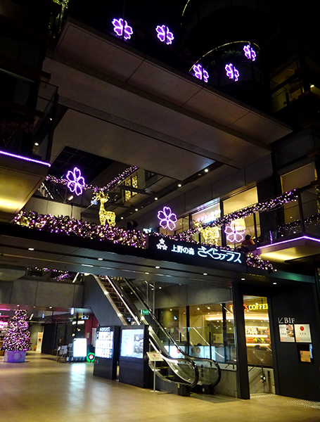 UENONOMORI SAKURA TERRACE