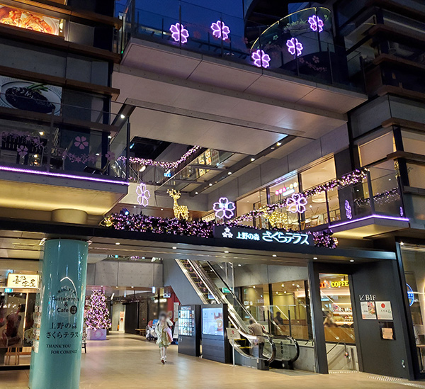 UENONOMORI SAKURA TERRACE