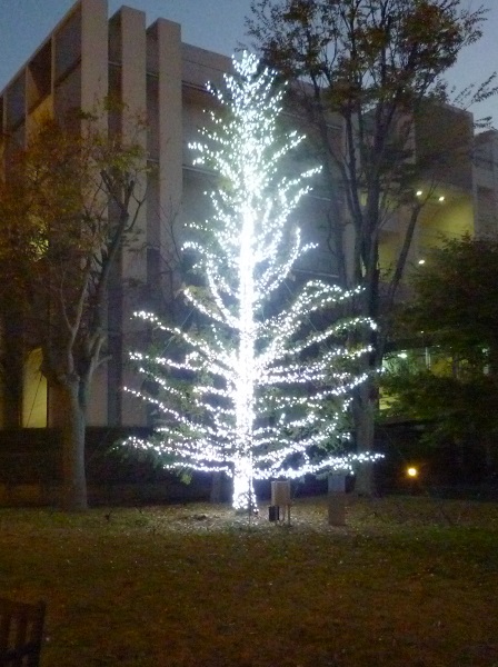 YOKOHAMA UNIVERSITY OF PHARMCY