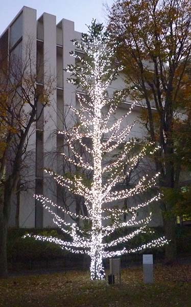 YOKOHAMA UNIVERSITY OF PHARMCY
