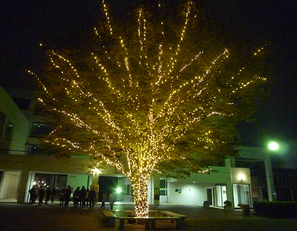 MEIJI GAKUIN UNIVERSITY -SHIROKANE CAMPUS/YOKOHAMA CAMPUS-