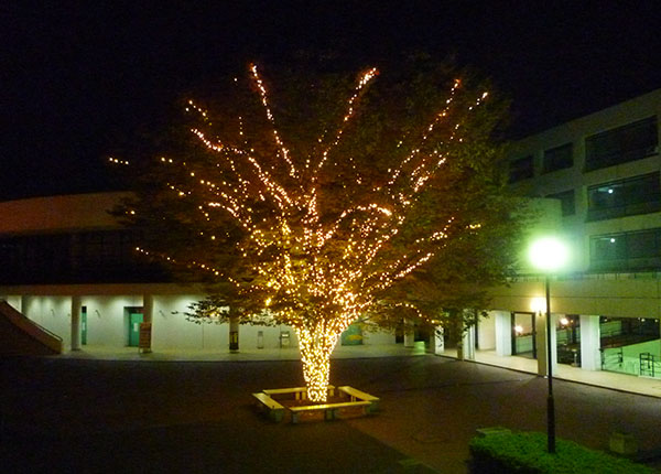 MEIJI GAKUIN UNIVERSITY -SHIROKANE CAMPUS/YOKOHAMA CAMPUS-