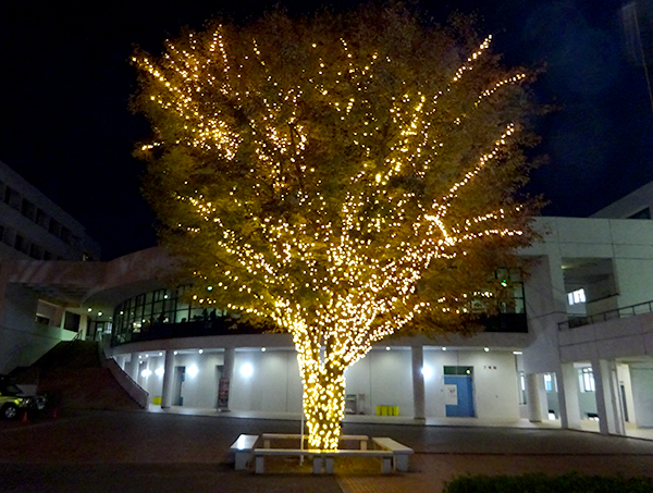 MEIJI GAKUIN UNIVERSITY -SHIROKANE CAMPUS/YOKOHAMA CAMPUS-