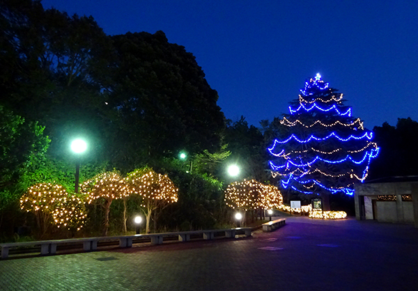 MEIJI GAKUIN UNIVERSITY -SHIROKANE CAMPUS/YOKOHAMA CAMPUS-