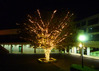 MEIJI GAKUIN UNIVERSITY -SHIROKANE CAMPUS/YOKOHAMA CAMPUS-