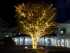 MEIJI GAKUIN UNIVERSITY -SHIROKANE CAMPUS/YOKOHAMA CAMPUS-
