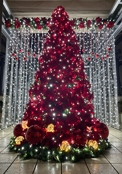 FANCL GINZA SQUARE