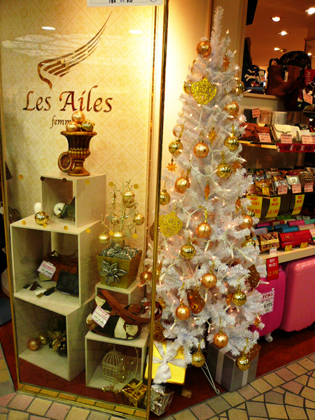 LES AILES FEMME