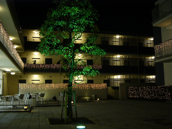 NATUL SUGINAMI
