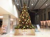 HYGEIA -SHINJUKU-