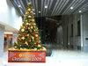 HYGEIA -SHINJUKU-