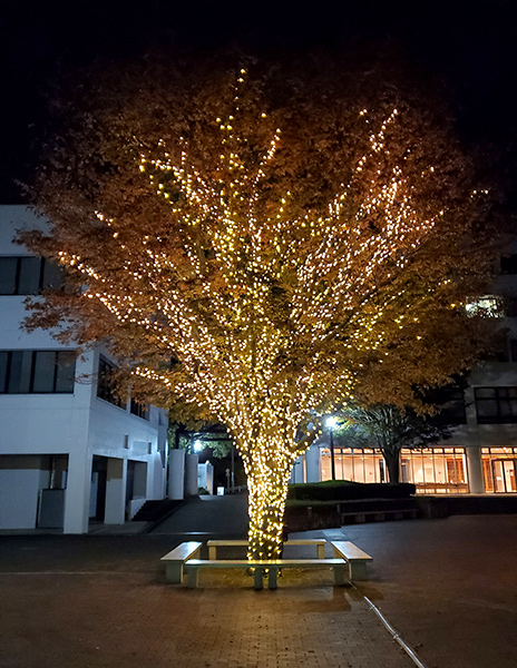MEIJI GAKUIN UNIVERSITY -YOKOHAMA CAMPUS-