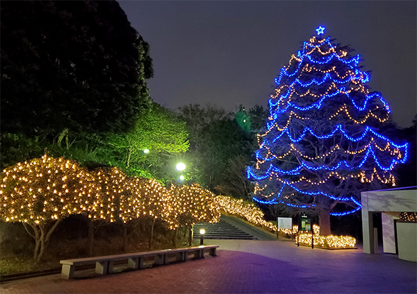 MEIJI GAKUIN UNIVERSITY -YOKOHAMA CAMPUS-