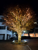 MEIJI GAKUIN UNIVERSITY -YOKOHAMA CAMPUS-